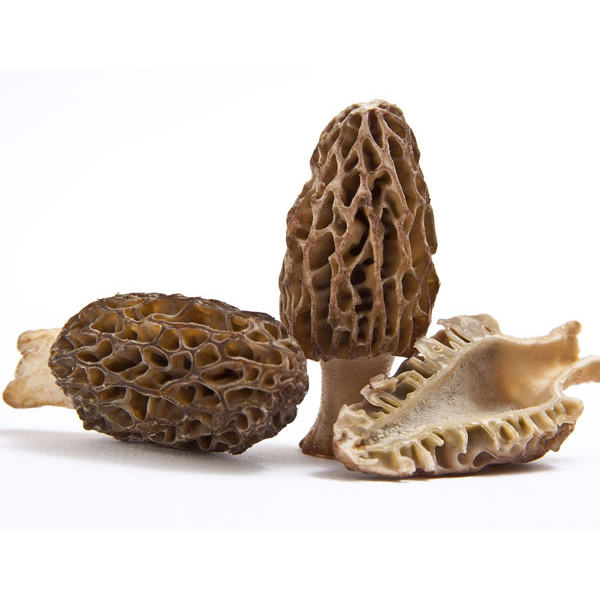 MORILLES ENTIERS SAUVAGE IQF 1KG