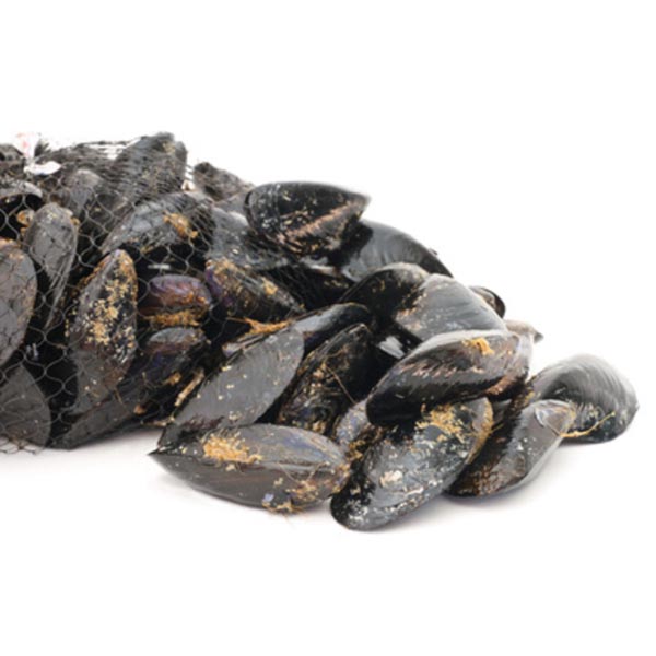 SPANISH MUSSELS 3KG